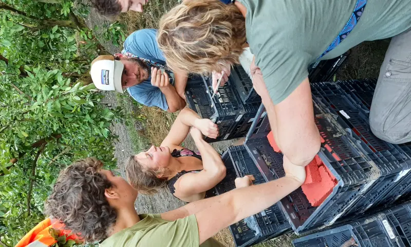 Bezoekers tijdens activiteit