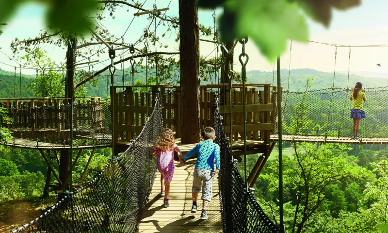 Wandel tot de toppen van de bomen op de Bladerdakbrug!