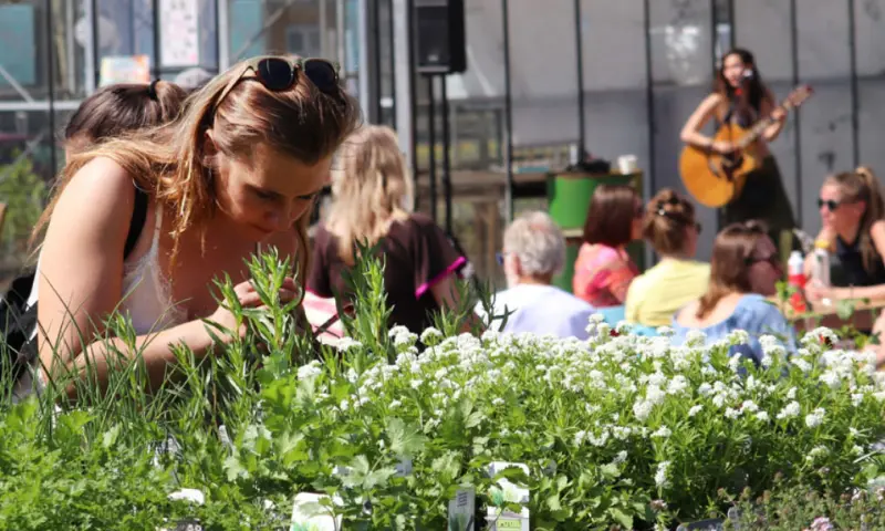 Moestuin