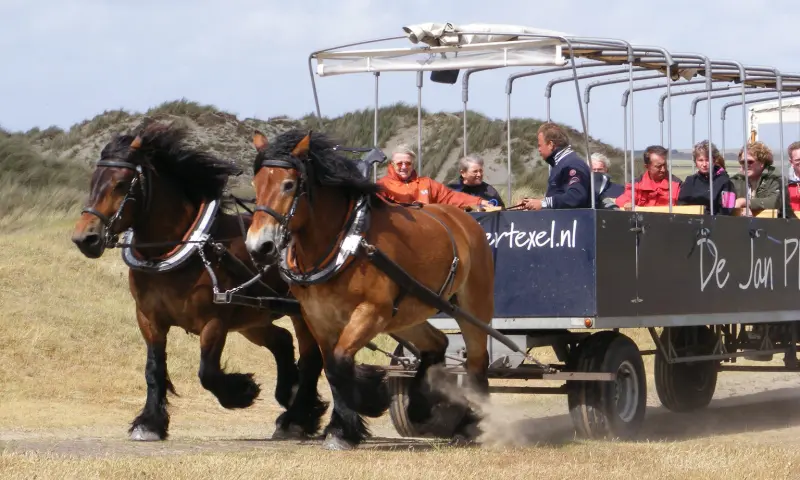 Familie huifkartocht Texel