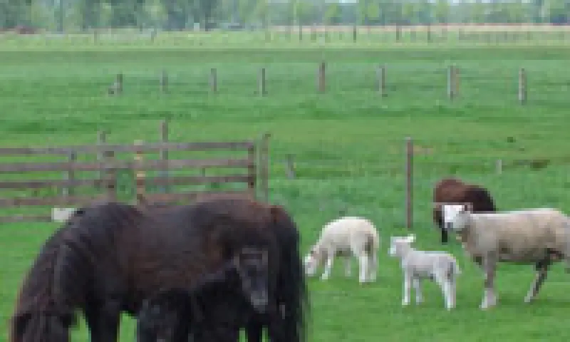 Wei Ijsboerderij