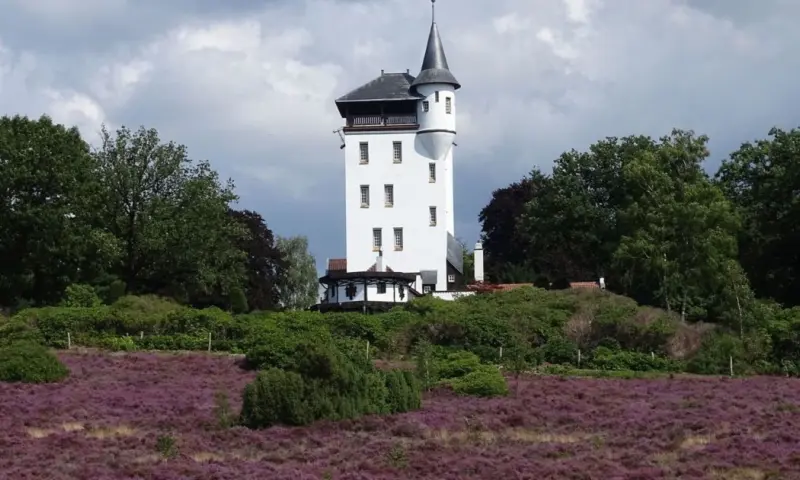 Op stap met de boswachter op de Sprengenberg