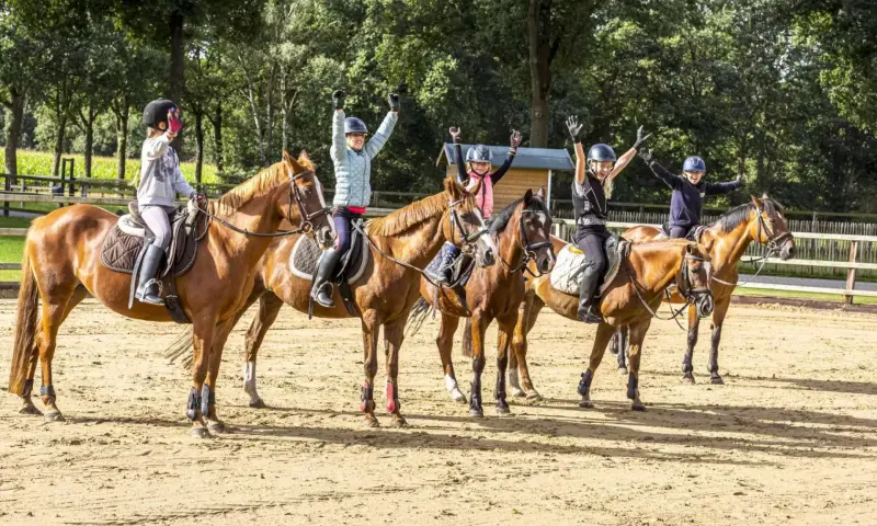Manege Meinders