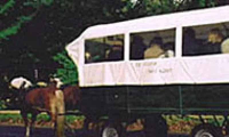 paarden voor een kar