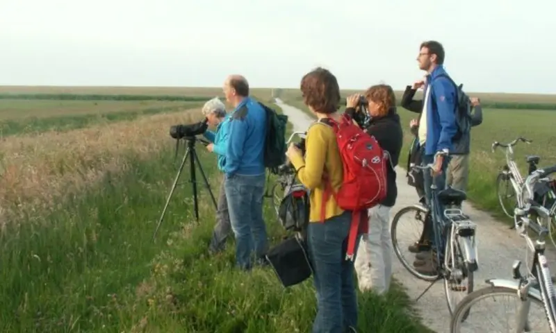 Vogelwandeling tijdens de November Wandelmaand op Schiermonnikoog