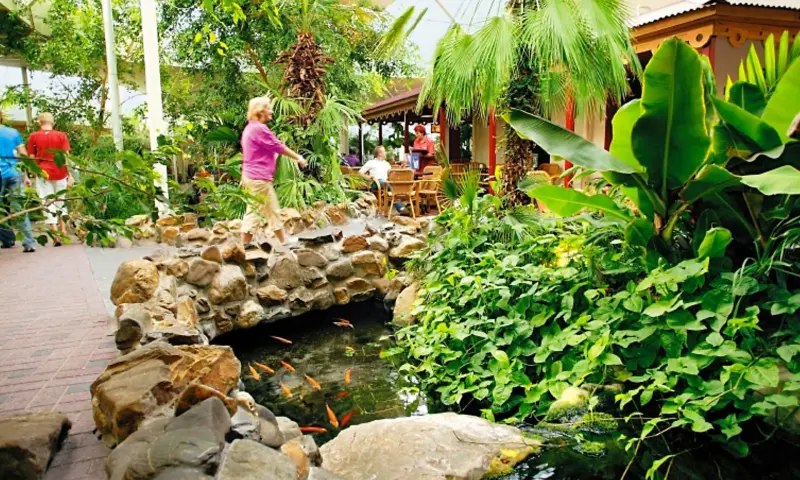 Limburgse Peel Center Parcs