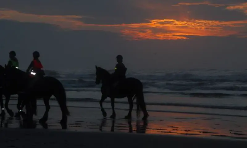 Paardrijden in avond