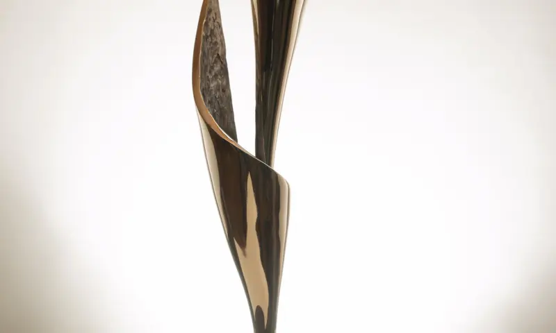 werk van Frank Boogaard -Des Fleur