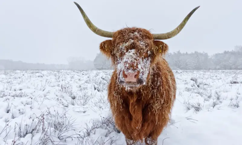 Buiten uitbuiken wandeling Dintelse Gorzen