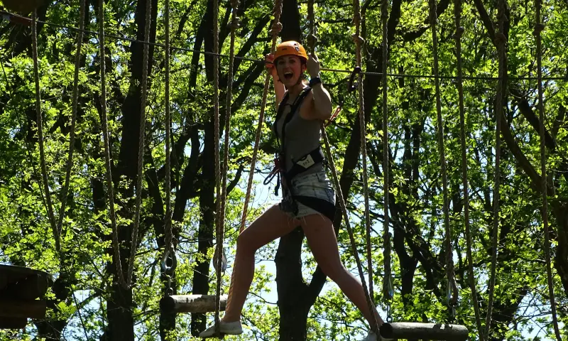 Klouteren in het bos