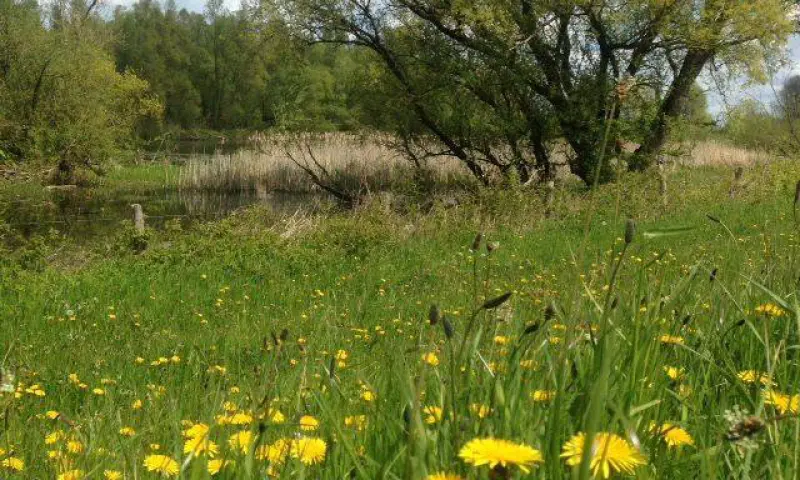 Natuurgebied