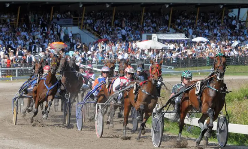 Rennende paarden