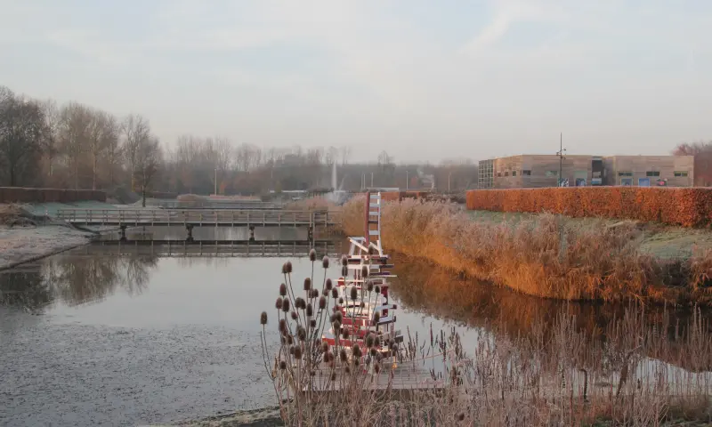 In de natuur
