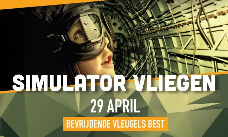 Simulatie vliegen