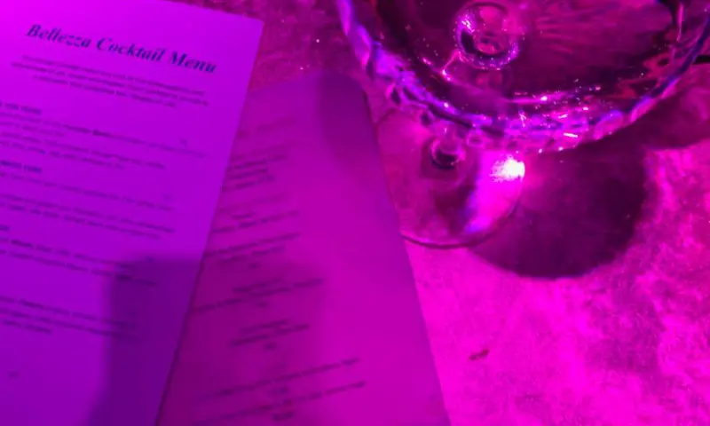 CHAMPAGNES, WIJNEN & SPANNENDE COCKTAILS