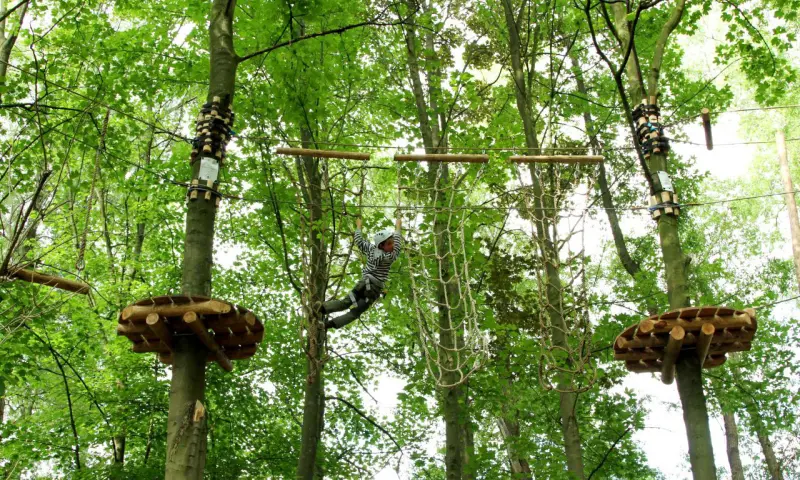 Klimmen in het Bos