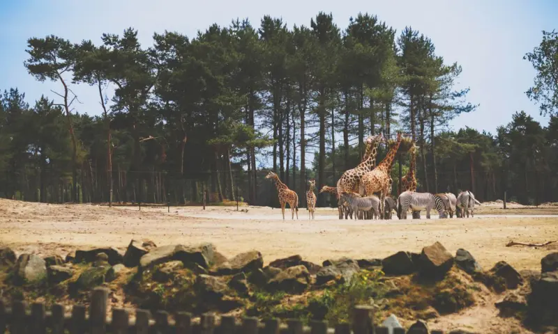 Safaripark Beekse Bergen