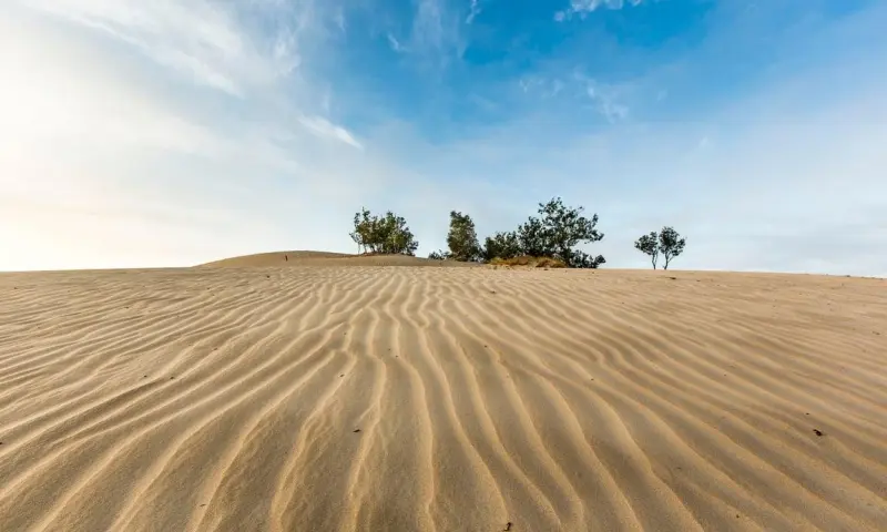 Monnikenroute door de Loonse en Drunense Duinen