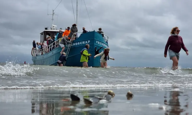 Zeehondentocht met zandplaatlanding (Vriendschap)