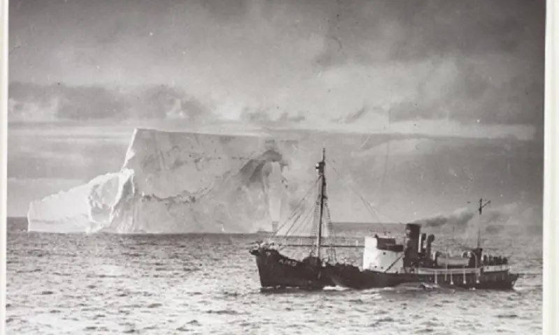 Walvisvaartwandeling