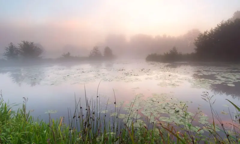 Ochtendwandeling in het Dommeldal