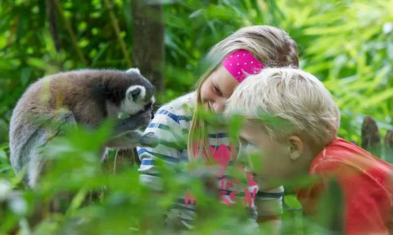 Apenheul en kinderen