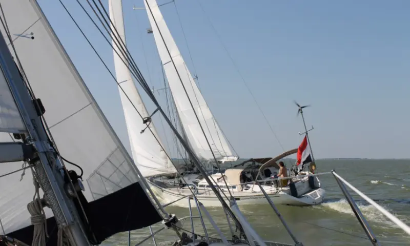 Zeilboot