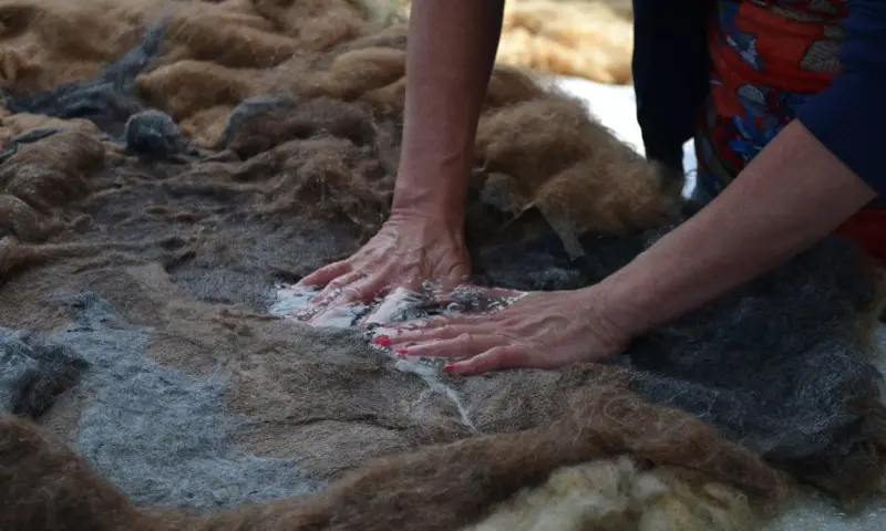 Workshop vachtvilten op De Onlanderij