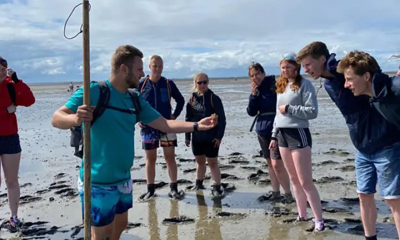 De gidsen weten veel over het Wad te vertellen