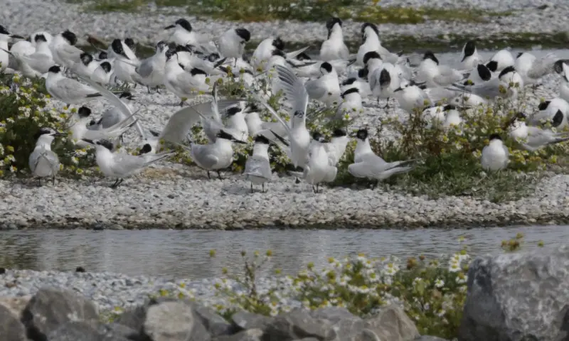 Harger- en Pettemerpolder vroeger en nu