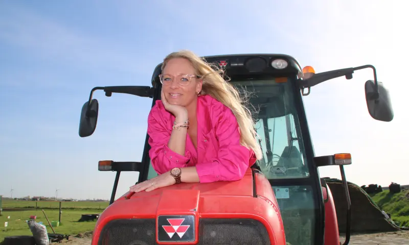 fotoshoot tussen de koeien