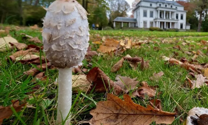 Herfstwandeling op Buitenplaats De Tempel