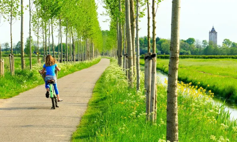 Ontdek de historische schatten van landgoed Haarzuilens