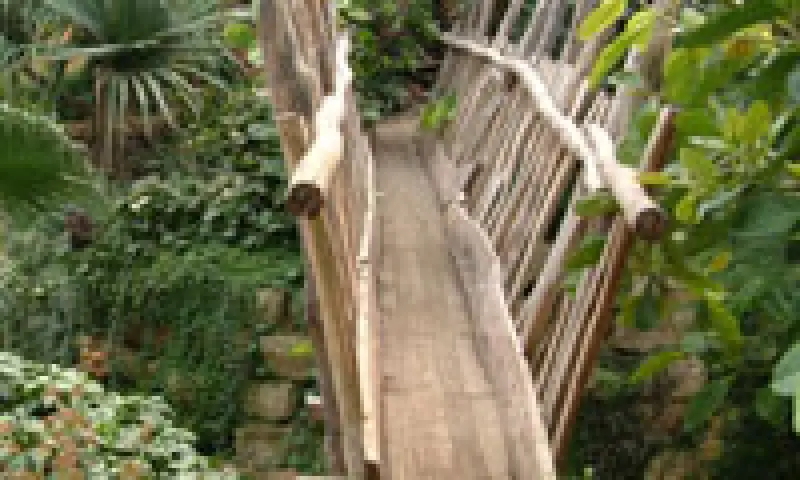 houten brug over het water