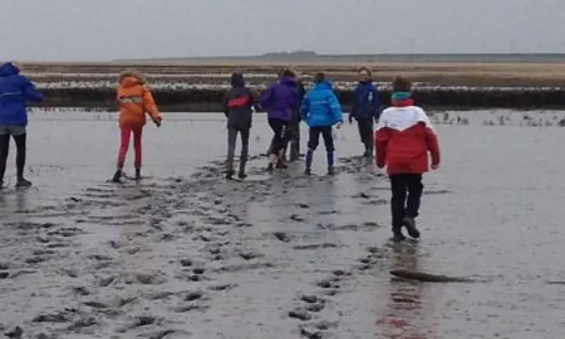 wadlopen in groepen