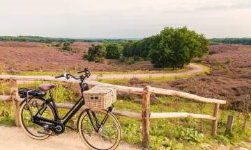 5 van de leukste fietsbestemmingen in eigen land