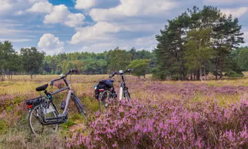 Een dagje weg in eigen land? Dit zijn de mooiste steden