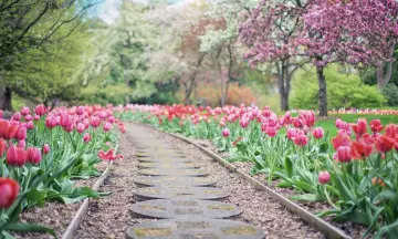 De leukste ideeën voor een kinderfeestje in de tuin