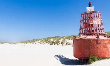 Kies voor een uitje met het gezin naar de Waddeneilanden