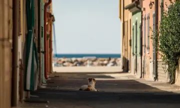 De leukste uitjes bij een vakantie naar Bari