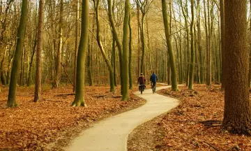 De mooiste natuurgebieden in Nederland voor een dagje weg