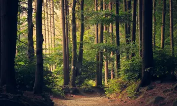 Zo kun je op een originele manier de natuur verkennen