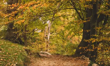 Heerlijke Herfst Uitjes