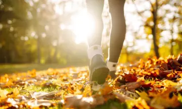 Wandelen en lunchen in de Laurabossen