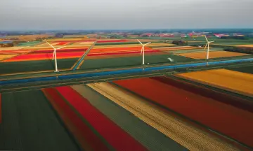 Bloemrijke uitjes