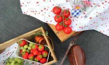 3 leuke plekjes voor een wandeling in combo met een picknick