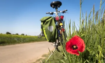 Tips voor een dagje uit met een beperkt budget