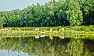 De leukste uitjes in en rondom Amstelveen