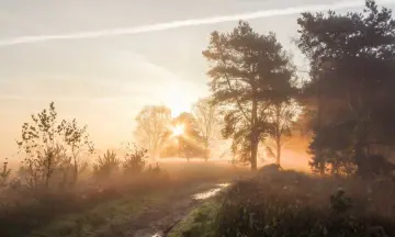 Wat te doen op de Waddeneilanden?