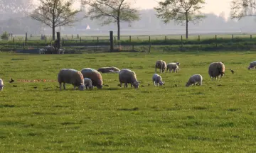 De mooiste natuurgebieden in Nederland